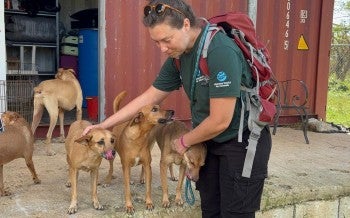 Petting dogs after Hurricane Melissa in Jamaica